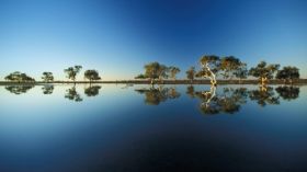 Australien WooleenStation.jpg